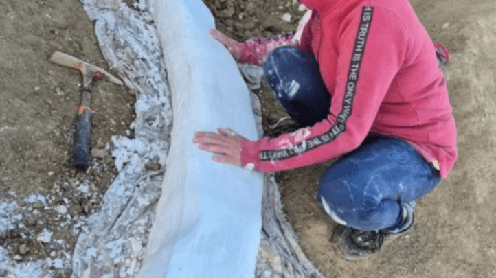 Hallan en la costa bonaerense un colmillo fósil de más de 100 mil años de&nbsp;antigüedad