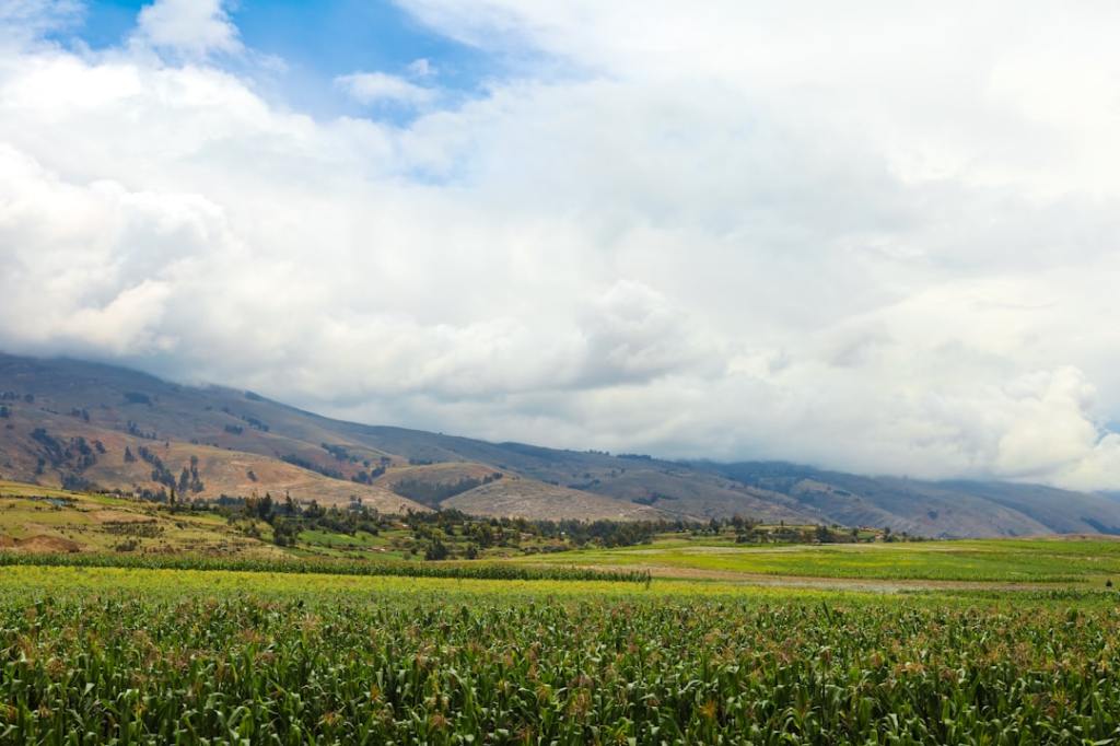 Molinos Agro multiplica ganancias por tres en doce&nbsp;meses