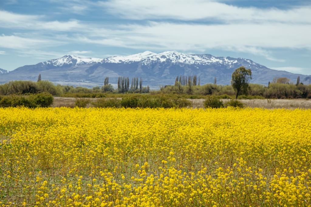 Campo bajo presión: siete décadas de medidas restrictivas