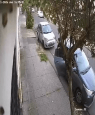 Robo piraña en Lanús: cinco delincuentes le robaron el auto mientras paseaba a su&nbsp;perro