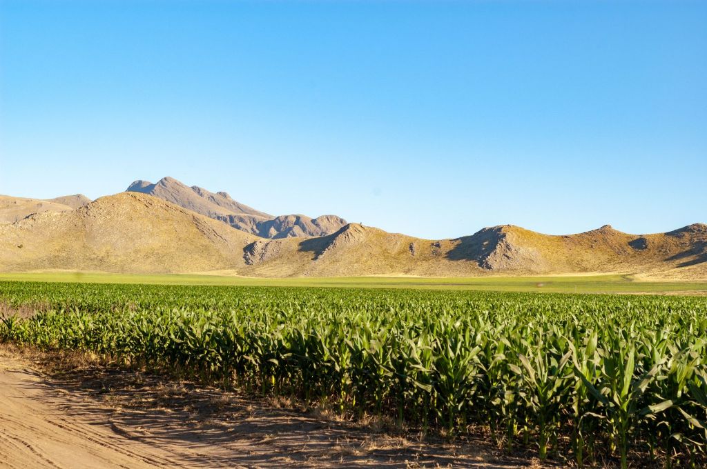 Campo argentino: 128 por ciento de aumento en exportaciones y más&nbsp;expansión
