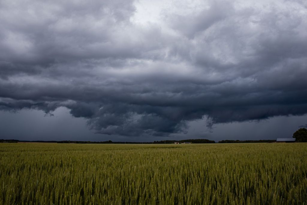 El Niño: precipitaciones extremas y nuevos desafíos&nbsp;rurales