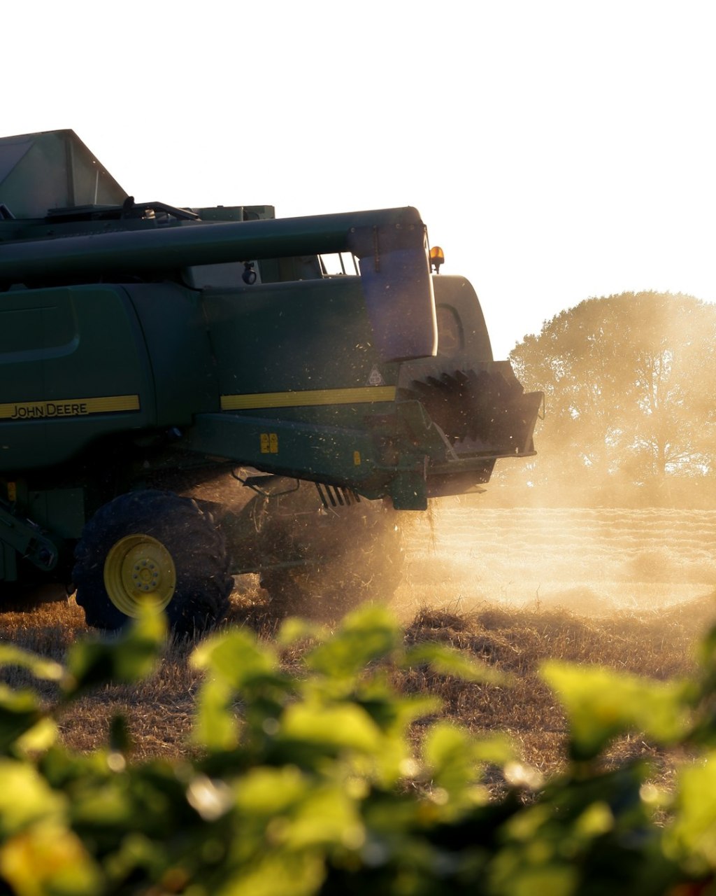 Nueva línea de crédito del Banco de Corrientes para el sector&nbsp;agropecuario