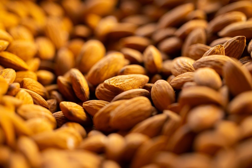 Desafios para almendreros: competencia y aranceles fuerzan&nbsp;reconversión