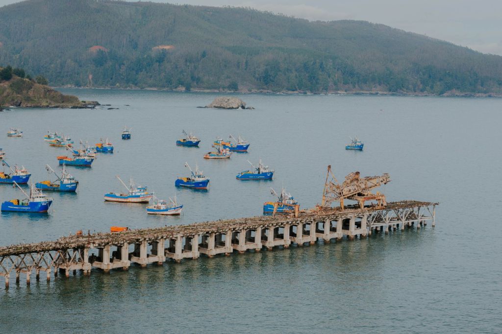 Chile pone sus puertos a disposición de Vaca Muerta con&nbsp;requisitos